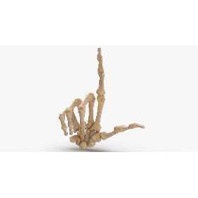 3D Real Human Hand Bones Loser Sign